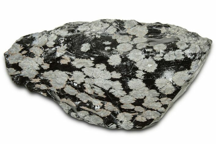 Snowflake Obsidian Section - Utah #327132